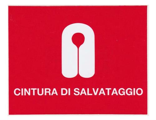 ADESIVO CINTURA DI SALVATAGGIO MM.80×100